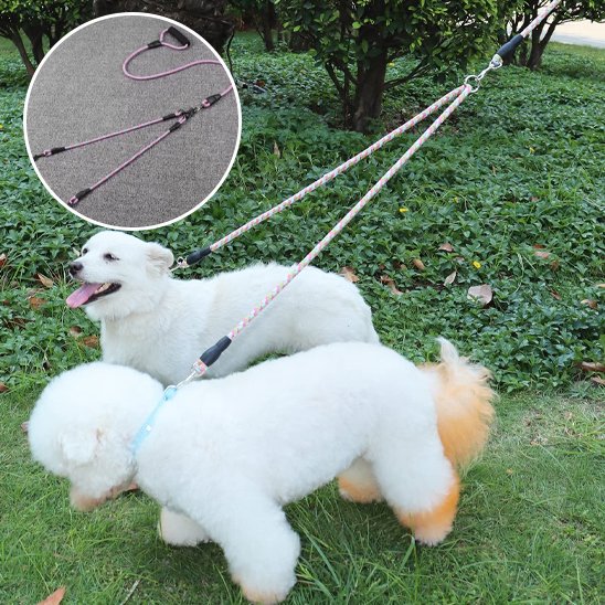 Laisse double pour chien | Sécurité & Confort