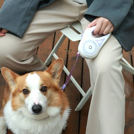 Laisse chien enrouleur | Rétractable 5m