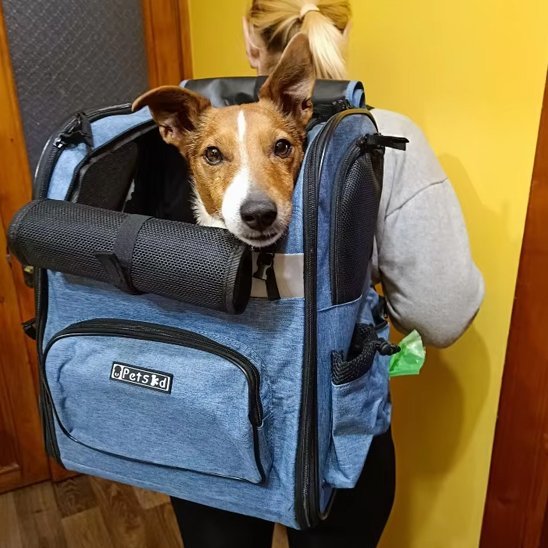 Sac de transport pour chien | Confort Voyage - La Maison Ideale Des Chiens