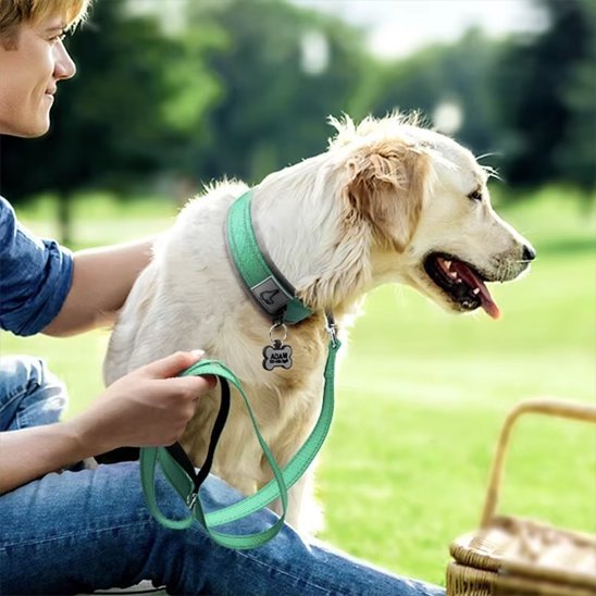 Collier chien | Durable & Ajustable - La Maison Ideale Des Chiens