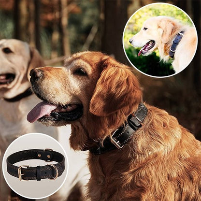 Collier chien | Durable & Ajustable - La Maison Ideale Des Chiens