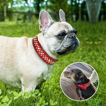 Collier chien | Durable & Confort - La Maison Ideale Des Chiens