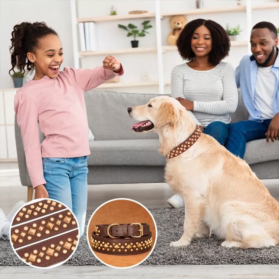 Collier chien | Durable & Confort - La Maison Ideale Des Chiens