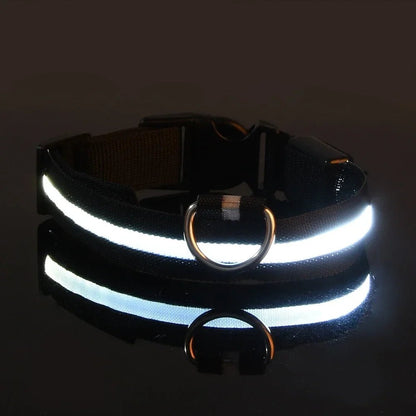 Collier Chien - LEDCollarDog™ - Noir - La Maison Ideale Des Chiens