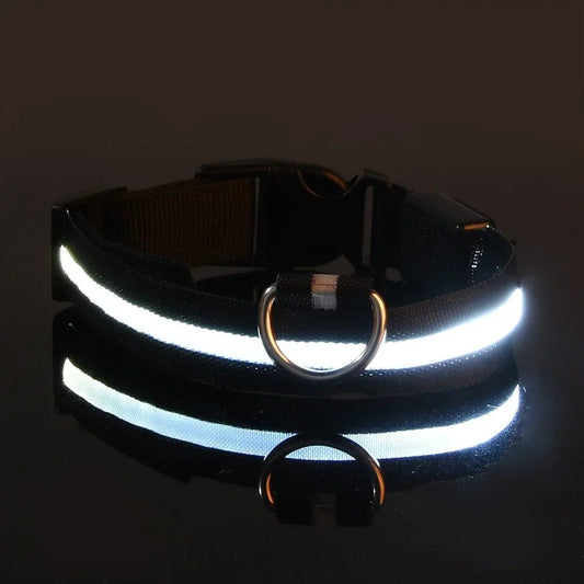 Collier Chien - LEDCollarDog™ - Noir - La Maison Ideale Des Chiens
