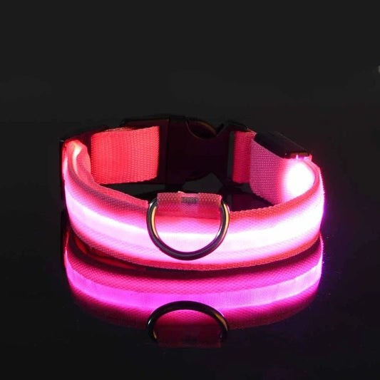 Collier Chien - LEDCollarDog™ - Rose - La Maison Ideale Des Chiens