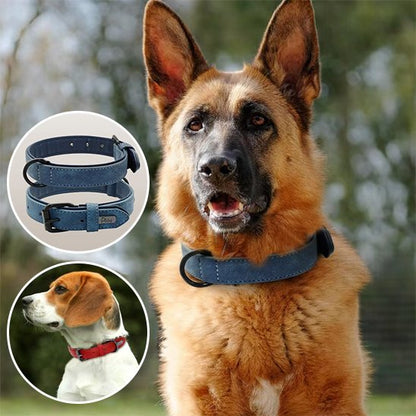 Collier chien | Robuste & Confort - La Maison Ideale Des Chiens