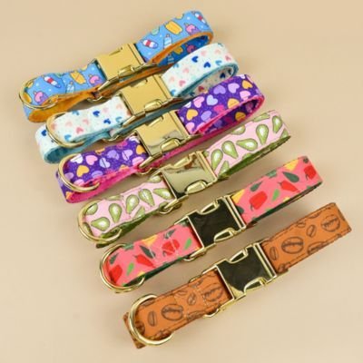 Collier chiot | Ajustable Confort - La Maison Ideale Des Chiens