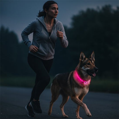 Collier lumineux chien | NightSafe - La Maison Ideale Des Chiens