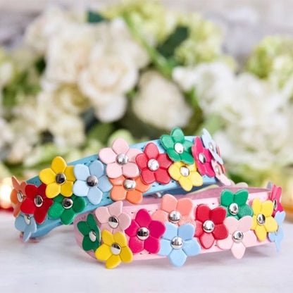 Collier pour chien | Comfort Élégance - La Maison Ideale Des Chiens