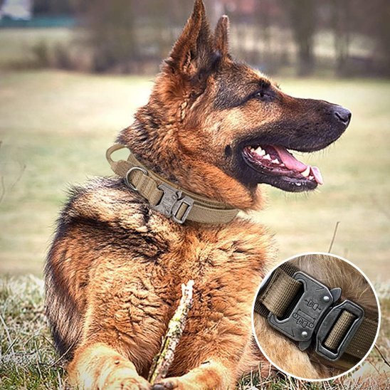 Collier pour chien | Durable & Ajustable - La Maison Ideale Des Chiens