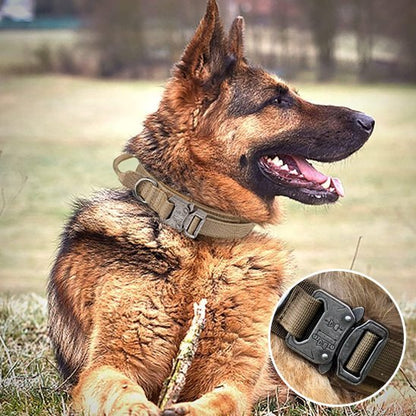 Collier pour chien | Durable & Ajustable - La Maison Ideale Des Chiens