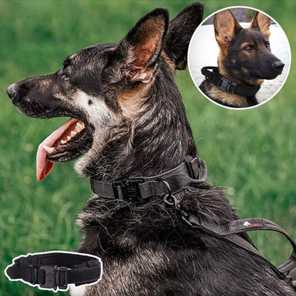 Collier pour chien | Durable & Ajustable - La Maison Ideale Des Chiens