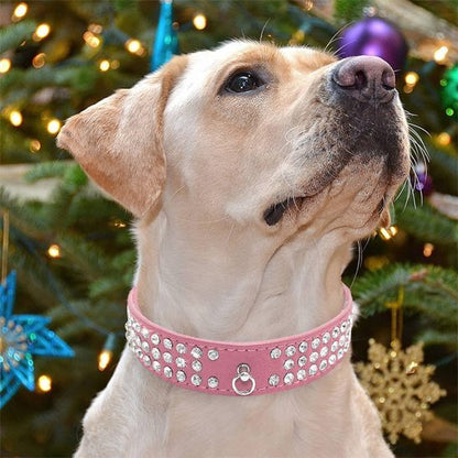 Collier pour chien | Élégance Durable - La Maison Ideale Des Chiens