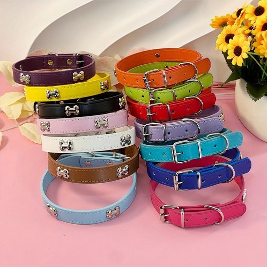 Collier pour chien | Robust - Élégance - La Maison Ideale Des Chiens