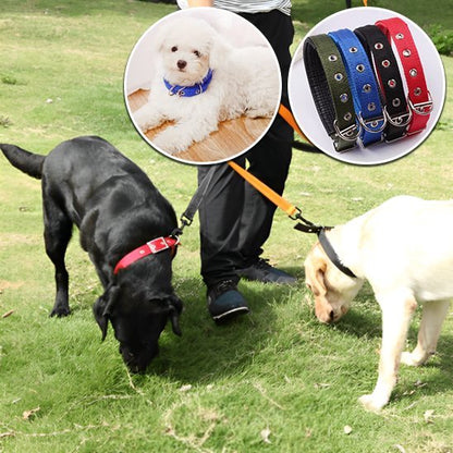 Collier pour chien | Robustyle - La Maison Ideale Des Chiens