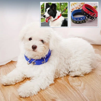 Collier pour chien | Robustyle - La Maison Ideale Des Chiens