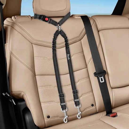 Double laisse pour chien | PromenDuo - La Maison Ideale Des Chiens