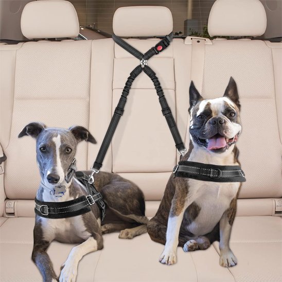 Double laisse pour chien | PromenDuo - La Maison Ideale Des Chiens