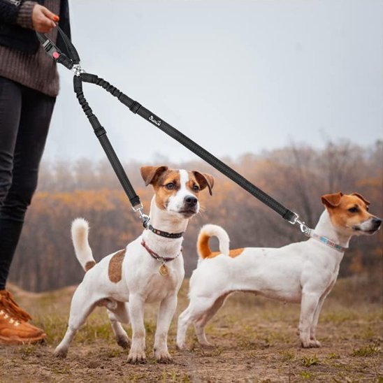 Double laisse pour chien | PromenDuo - La Maison Ideale Des Chiens