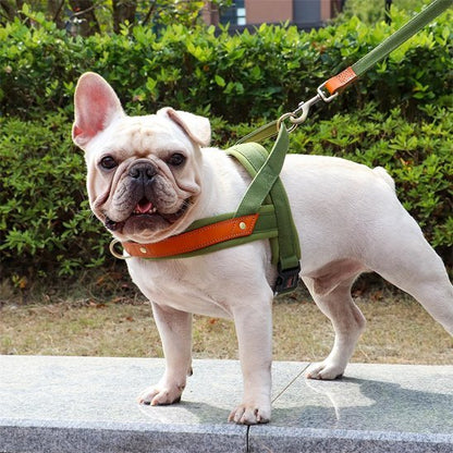 Harnais Chien anti traction | ComfortCanin - La Maison Ideale Des Chiens