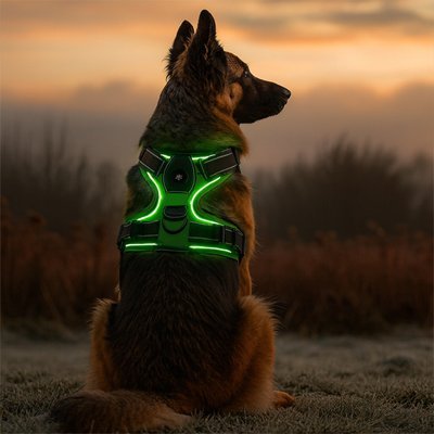 Harnais chien | Confort Réglable - La Maison Ideale Des Chiens