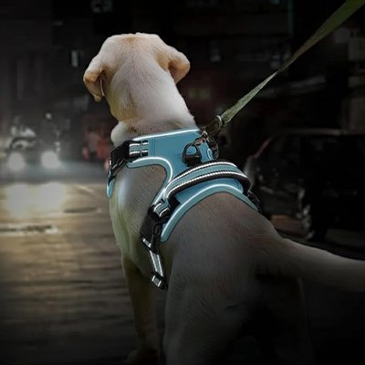 Harnais chien | Sécuriconfort - La Maison Ideale Des Chiens
