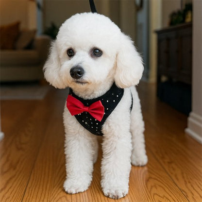 Harnais petit chien | ComfortSecure - La Maison Ideale Des Chiens