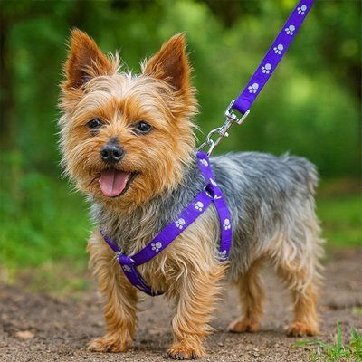 Harnais pour Chien | ComfortSécur - La Maison Ideale Des Chiens