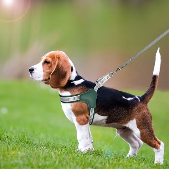 Harnais pour chien | Confort Ajustable - La Maison Ideale Des Chiens