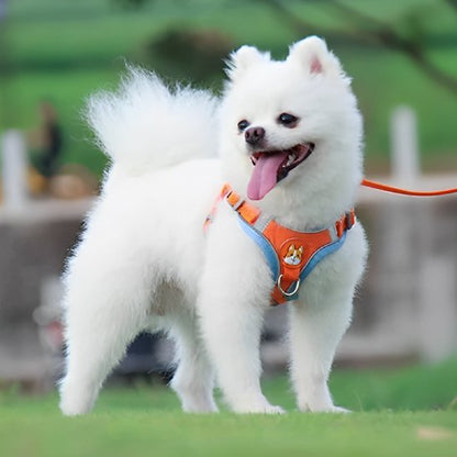 Harnais pour chien | Confort Ajustable - La Maison Ideale Des Chiens