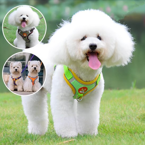 Harnais pour chien | Confort Ajustable - La Maison Ideale Des Chiens