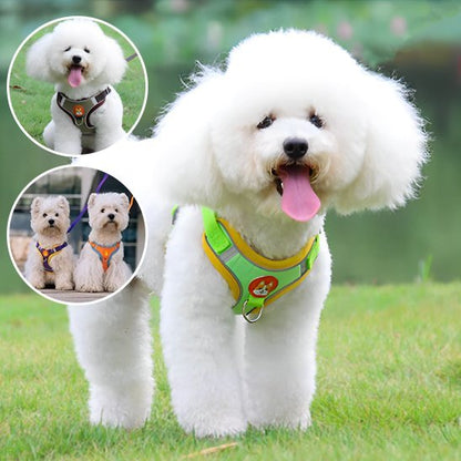 Harnais pour chien | Confort Ajustable - La Maison Ideale Des Chiens