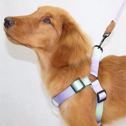 Harnais pour chien | Confort Ajustable - La Maison Ideale Des Chiens