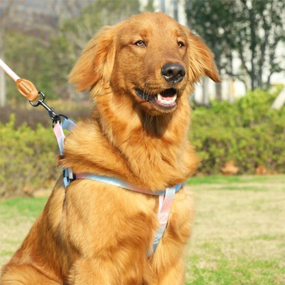 Harnais pour chien | Confort Ajustable - La Maison Ideale Des Chiens