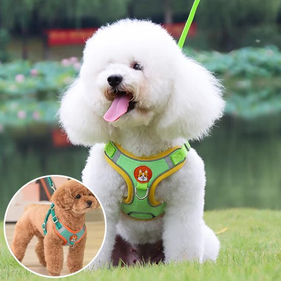Harnais pour chien | Confort Ajustable - La Maison Ideale Des Chiens