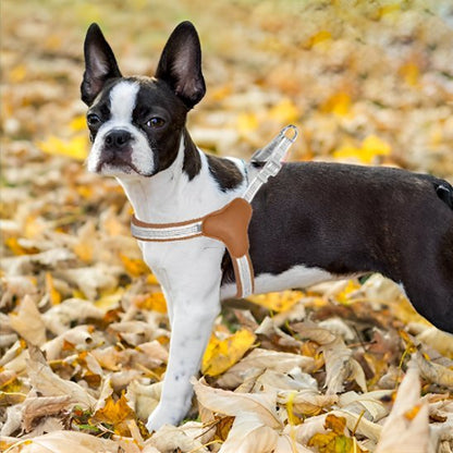 Harnais pour chien | Confort Ajustable - La Maison Ideale Des Chiens