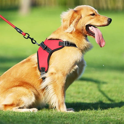 Harnais pour chien | Confort Premium - La Maison Ideale Des Chiens