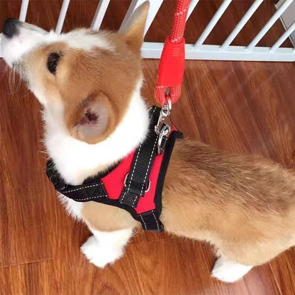 Harnais pour chien | Confort Premium - La Maison Ideale Des Chiens