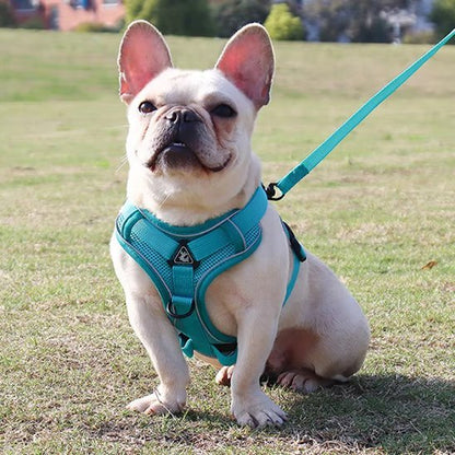 Harnais pour chien | Confort Sécurisé - La Maison Ideale Des Chiens