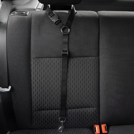 Laisse chien | Robuste - La Maison Ideale Des Chiens