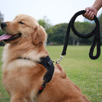 Laisse chien | Sécurité Robuste - La Maison Ideale Des Chiens