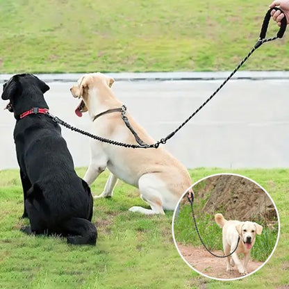 Laisse double pour chien | AntiCroisement - La Maison Ideale Des Chiens