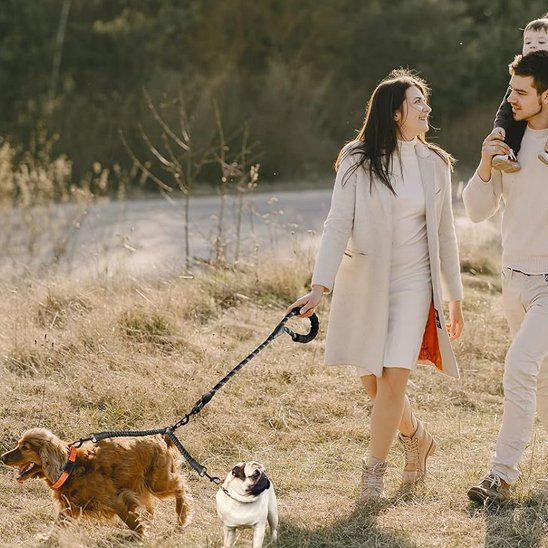 Laisse double pour chien | AntiCroisement - La Maison Ideale Des Chiens