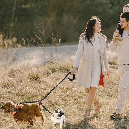 Laisse double pour chien | AntiCroisement - La Maison Ideale Des Chiens