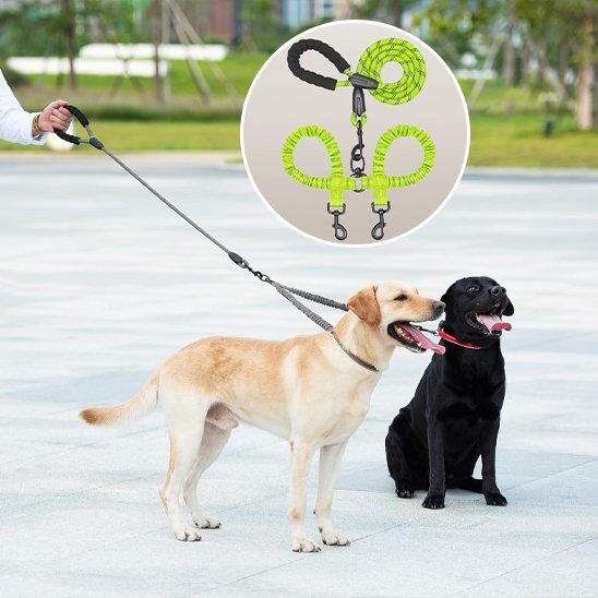 Laisse double pour chien | AntiCroisement - La Maison Ideale Des Chiens