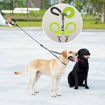 Laisse double pour chien | AntiCroisement - La Maison Ideale Des Chiens