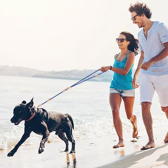 Laisse double pour chien | MultiWalk - La Maison Ideale Des Chiens