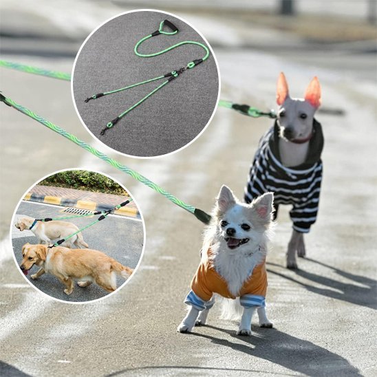 Laisse double pour chien | Sécurité & Confort - La Maison Ideale Des Chiens