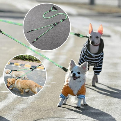 Laisse double pour chien | Sécurité & Confort - La Maison Ideale Des Chiens